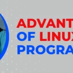 What are the advantages of Linux programming?